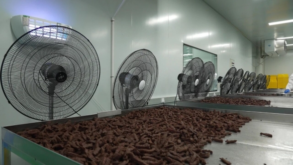 開發(fā)區(qū)肉牛產(chǎn)品 以“?！逼焚|(zhì)征服全國(guó)市場(chǎng)